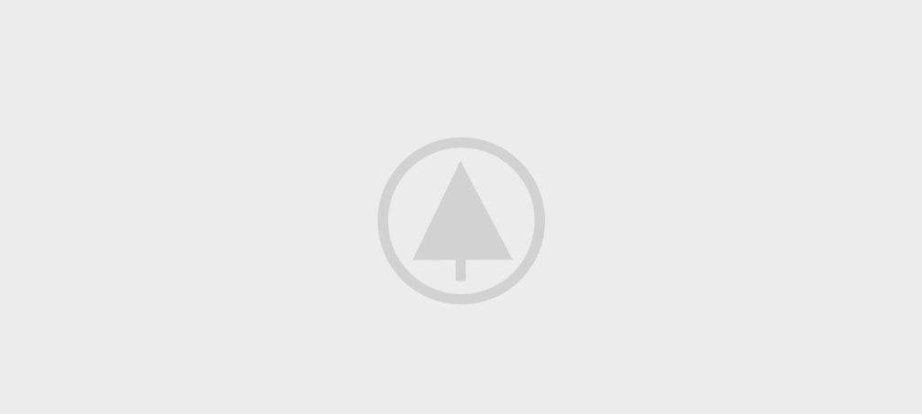 wood-gallery-placeholder-4 wood-gallery-placeholder-4